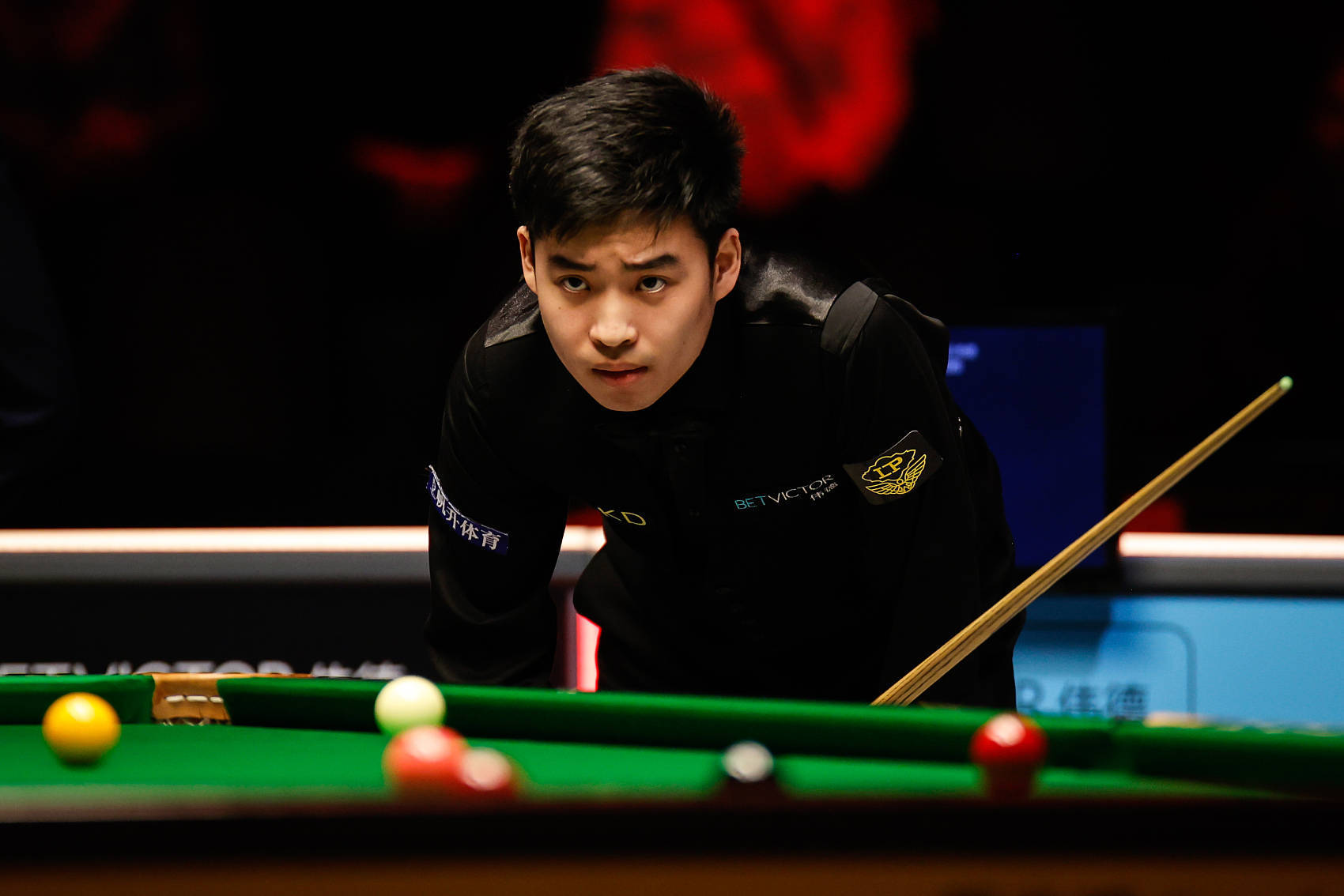 他们具备迅 他们具备迅