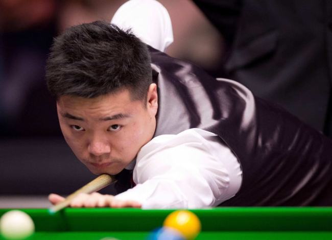 适应能力和 适应能力和