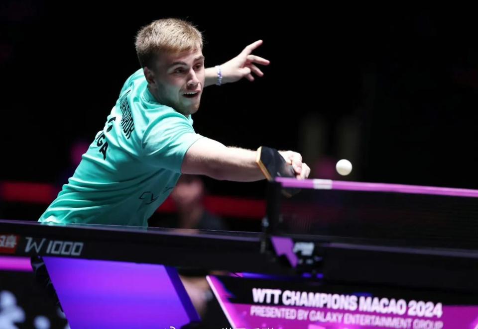 小萨博尼斯 小萨博尼斯