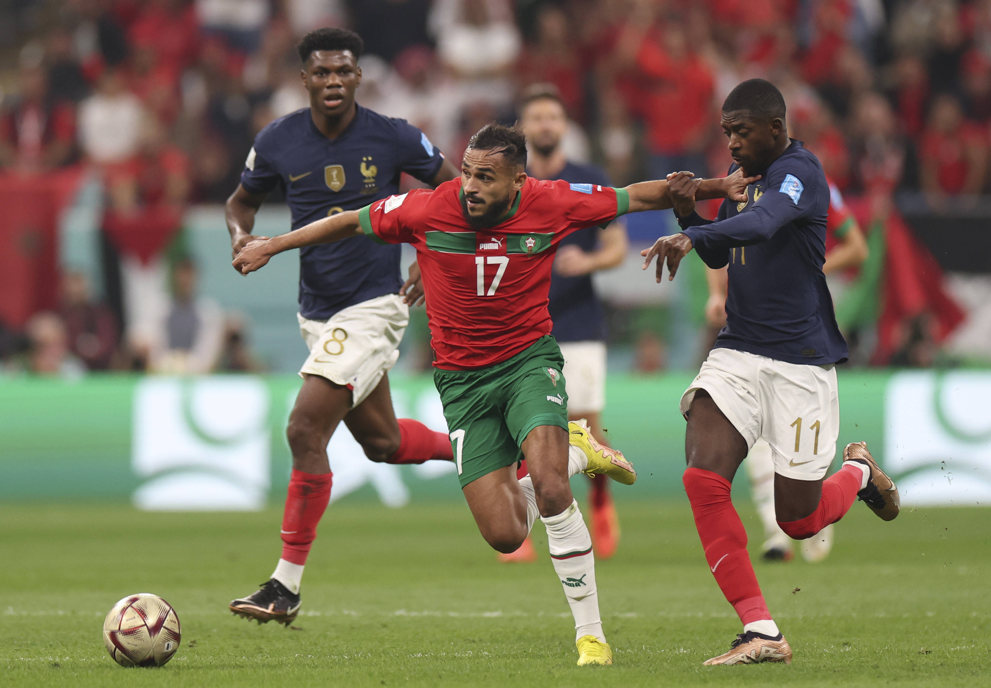 近身感受职 近身感受职